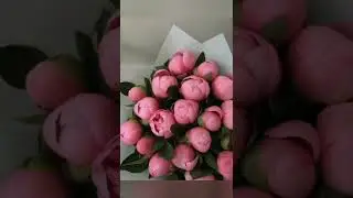 Красивые букеты цветов✨💕💐 #shorts #красивые #shortvideo #цветы #цветок #цветочки #video #videos