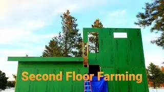 Framing Our Second Story Walls Part One