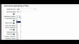 Moodle Lesson 11: Add Multiple File Upload Activity