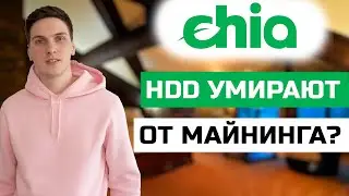 Убиваются ли HDD при майнинге Chia