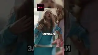 Этот паук выступает в цирке😅 