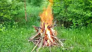 🔥 Campfire in a Spring Forest 🌳 Natural Ambience & Crackling Sounds