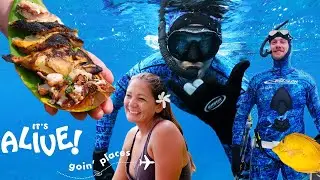 Brad Goes Spearfishing in Hawaii | It's Alive: Goin' Places | Bon Appétit