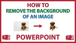 How To Remove The Background From An Image In Microsoft PowerPoint