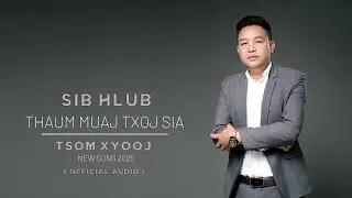 sib hlub thaum muaj txoj sia - tsom xyooj 2025