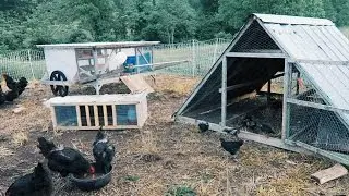 5 Chicken Coops That Work - 5 Brilliant Ways