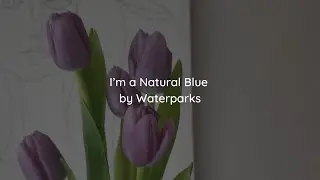 I’m a Natural Blue | Waterparks | Lyrics