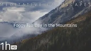 Meditative Landscapes: Fog&Fall 1hour Relaxing Wind Sounds for Meditation, Sleephelp, Stress-Relief