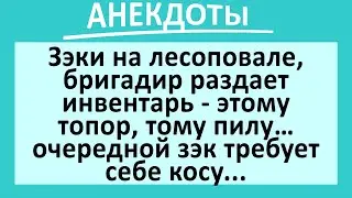 На лесоповале, зэк требует косу... Сборник анекдотов смешных до слез! Юмор! Приколы!