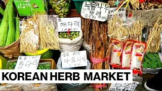 One Of The LARGEST Herbal MARKETS In South Korea // Gyeongdong Market In Seoul