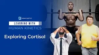 Exploring cortisol and its impact on the body