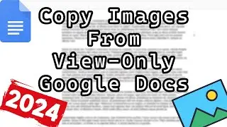 How to Copy Images From Protected View Only Google Docs (2024)