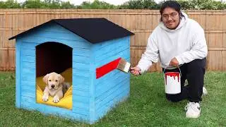 Restoring Old Doghouses For Abandoned Puppies