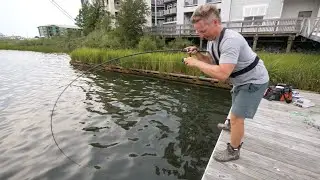 EPIC BANK FISHING on a DOCK! Nonstop Redfish + HOW TO (Catch + Cook)