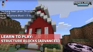 More on Structure Blocks (Advanced)