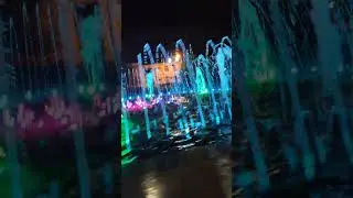 Вечерний влог МС Антона