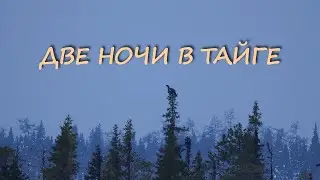 ДВЕ НОЧИ В ТАЙГЕ. ПРОБИВАЮСЬ НА ОЗЕРО. РЫБАЛКА.