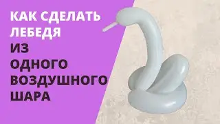 Как сделать лебедя из шарика