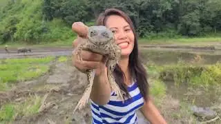 WE CAUGHT A LOT OF FROGS IN THE FIELD AND CRAB.