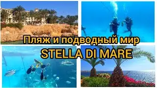 Египет. STELLA DI MARE 5*. Пляж и подводный мир. Sharm El Sheikh Март 2024г.