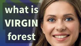 Virgin forest | meaning of Virgin forest