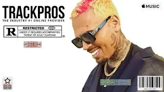 Chris Brown Type Beat 2024 - "One Wish"