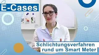 E-Cases: Schlichtungsfälle rund um Smart Meter