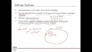 Peroxisome Diseases [Clinical Biochemistry 2 of 8]