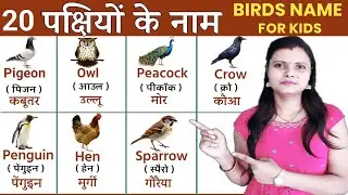 Birds name in Hindi and English | पक्षियों के नाम, Pakshiyon ke naam | Chidiyon ke naam #kidsvideo