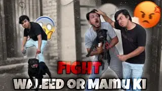 Waleed Or Mamu Ki Fight 😱😡||sw pet house 😎||@PetHouse786