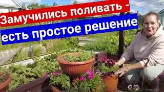 Как реже поливать цветы в кашпо и горшках. Три способа для занятых и отдыхающих садоводов