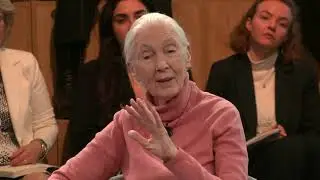 Jane Goodall - Destroying Ecosystems