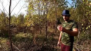 Строится ПАРК для самых крупных волков в мире. Северные обитатели САНКТ-ПЕТЕРБУРГА/Wolf park