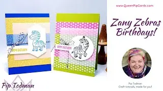 Zany Zebras Birthdays