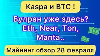 KASPA И BTC ❗️ БУЛРАН УЖЕ НАЧАЛСЯ? А ТАКЖЕ ТОП АЛЬТА // МАЙНИНГ ОБЗОР 28 ФЕВРАЛЯ