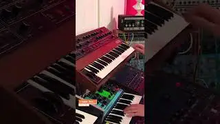 Iconic Synth Riffs Part 1 🎹🎹🎹 