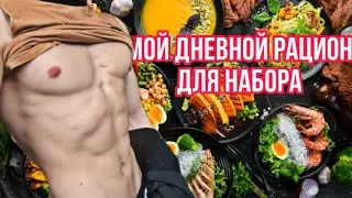 Мой дневной рацион для набора мышц. Testosterone Artist