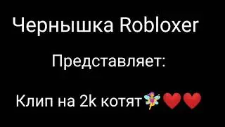 Клип на 2k котят 😭❤️❤️🧚‍♀️