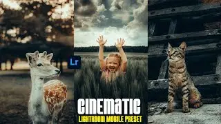 CINEMATIC Preset - Lightroom Mobile Preset Free DNG | Street Photography Preset | Cinematic Preset -