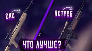 Всё о фри фаер: СКС vs Ястреб. Какое оружие лучше использовать?