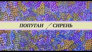 Сирень для попугаев. Цветы, семена, листва, кора. Сколько давать. Опасна ли сирень для птиц.