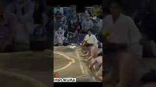 Медведь против Льва Shishi vs Сирокума Нагоя Басё 2024 #japan #sumo #duel #сумо #япония #sport #mma