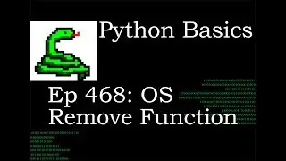 Python Basics Os Remove Function