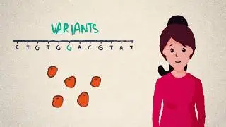 DNA, genes and genomes