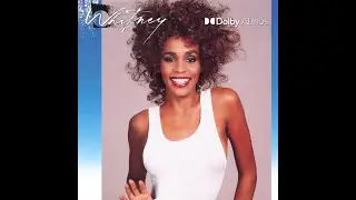I Wanna Dance with Somebody (Who Loves Me)