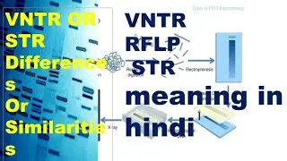 VNTR OR STR DIFFERENCES OR SIMILARITIES//RFLP, VNTR STR briefly meaning in hindi.