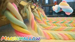 Marshmallow - How are Marshmallows made in the factory?!