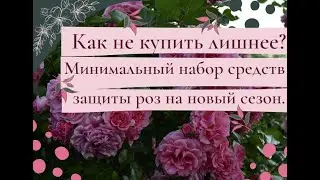 Как не купить лишнее? Минимальный набор средств защиты роз на новый сезон.