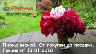 "Пионы весной. От покупки до посадки" – лекция С.Мовчан, СЦ Подворье 13.01.2018