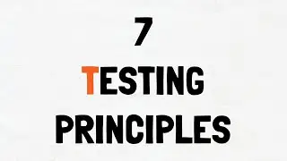 What are the 7 Testing principles?